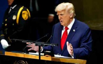 Donald Trump announces 100 percent tariff on imported pharmaceutical drugs, raising concerns for Indian pharma exports including Sun Pharma, Cipla, and Zydus.